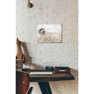 'Cotton Farms' by Britt Hallowell, Canvas Wall Art,16 x 12