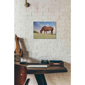 'Assataegue Horse' by Lori Deiter, Canvas Wall Art,16 x 12