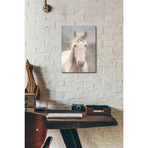 Image of 'White Beauty I' by Lori Deiter, Canvas Wall Art,12 x 16