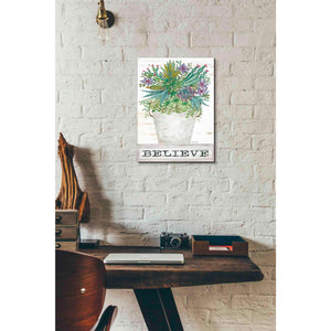 'Believe Succulents' by Cindy Jacobs, Canvas Wall Art,12 x 16