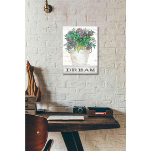 'Dream Succulents' by Cindy Jacobs, Canvas Wall Art,12 x 16