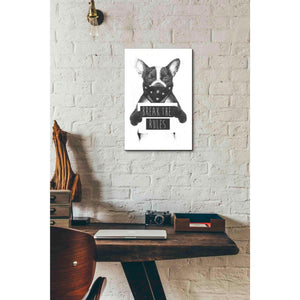'Rebel Dog' by Balazs Solti, Giclee Canvas Wall Art
