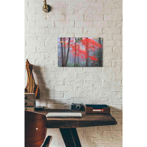 'Splash of Red' by Patrick Zephyr, Canvas Wall Art,18 x 12