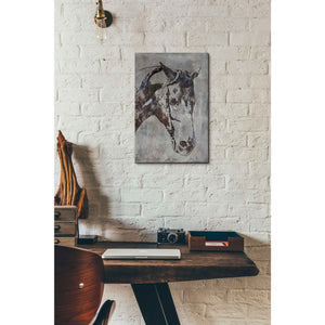 'Morgan Horse-Black Beauty 6' by Irena Orlov, Canvas Wall Art,12 x 18