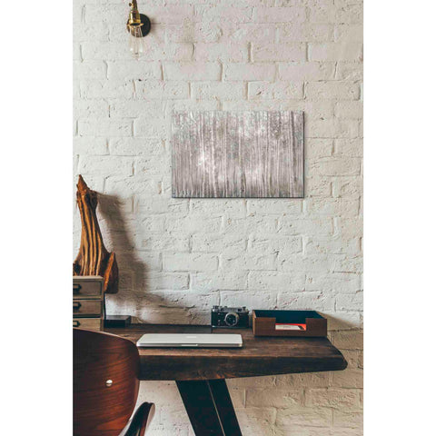 Image of 'Birch Trees' by Bluebird Barn, Canvas Wall Art,18 x 12