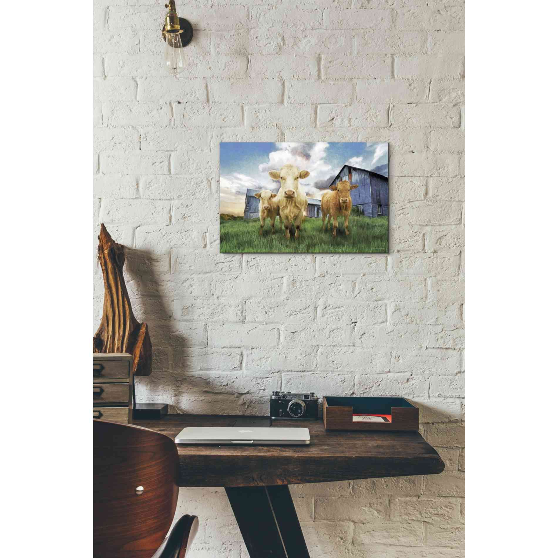 'Three Curious Calves' by Bluebird Barn, Canvas Wall Art,18 x 12