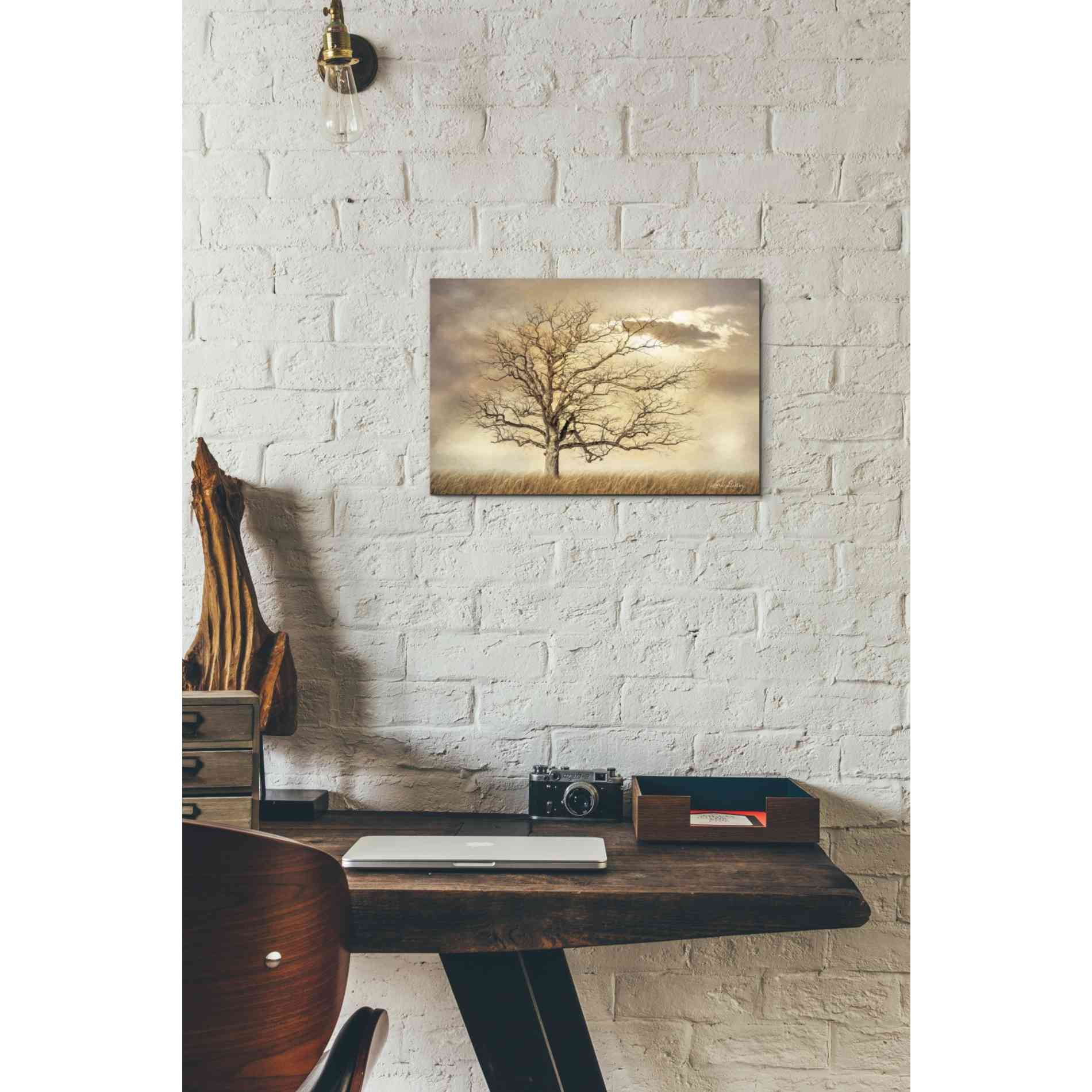 'Golden Tree' by Lori Deiter, Canvas Wall Art,18 x 12