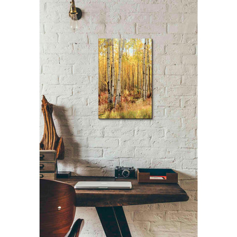 Image of 'Solid Gold II' by Lori Deiter, Canvas Wall Art,12 x 18