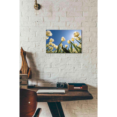 Image of 'Look Up in White' by Martin Podt, Canvas Wall Art,18 x 12