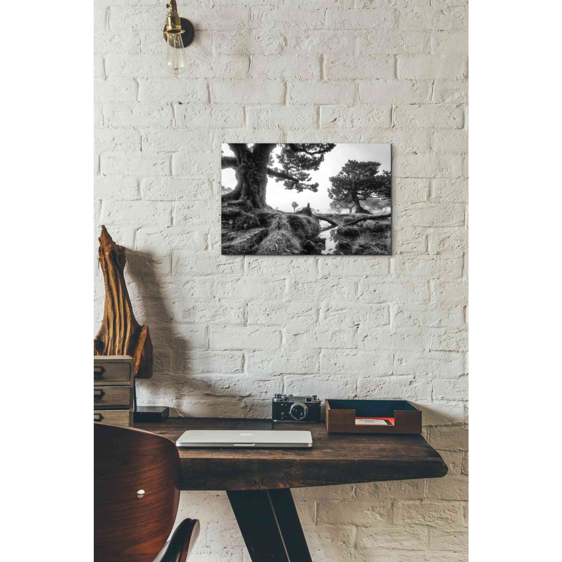 'Black & White Fanal' by Martin Podt, Canvas Wall Art,18 x 12