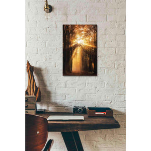 'Sunburst' by Martin Podt, Canvas Wall Art,12 x 18