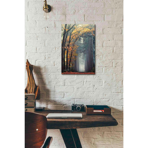 Image of 'To Another World' by Martin Podt, Canvas Wall Art,12 x 18