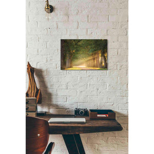 'Perfect Place to Sit' by Martin Podt, Canvas Wall Art,18 x 12