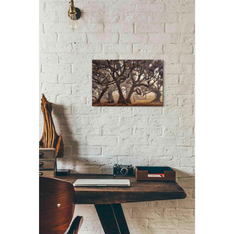 Image of 'The Hidden Truth' by Martin Podt, Canvas Wall Art,18 x 12