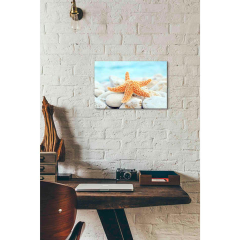 Image of 'Sea Star Dreams' Giclee Canvas Wall Art