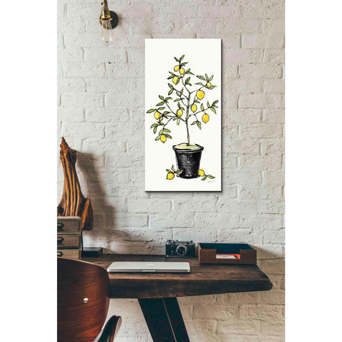 Image of 'Citron V' by Anne Tavoletti, Canvas Wall Art,12 x 24