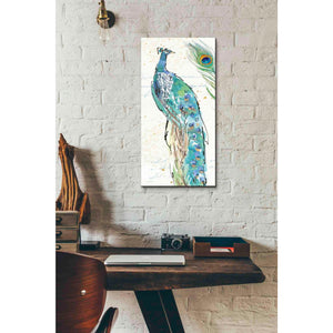 'Peacock Garden IV' by Anne Tavoletti, Canvas Wall Art,12 x 24