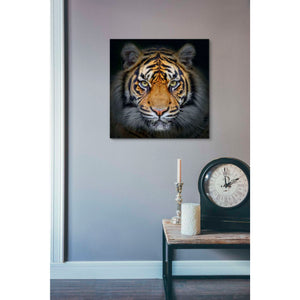 'Wild Side' Giclee Canvas Wall Art