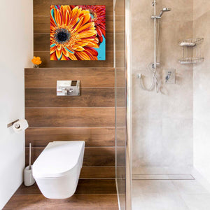 'Color Bursts II' by Carolee Vitaletti, Giclee Canvas Wall Art