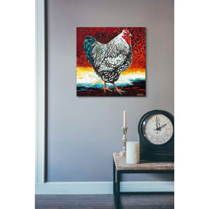 'Fancy Chicken I' by Carolee Vitaletti, Giclee Canvas Wall Art