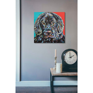 'Canine Buddy I' by Carolee Vitaletti, Giclee Canvas Wall Art