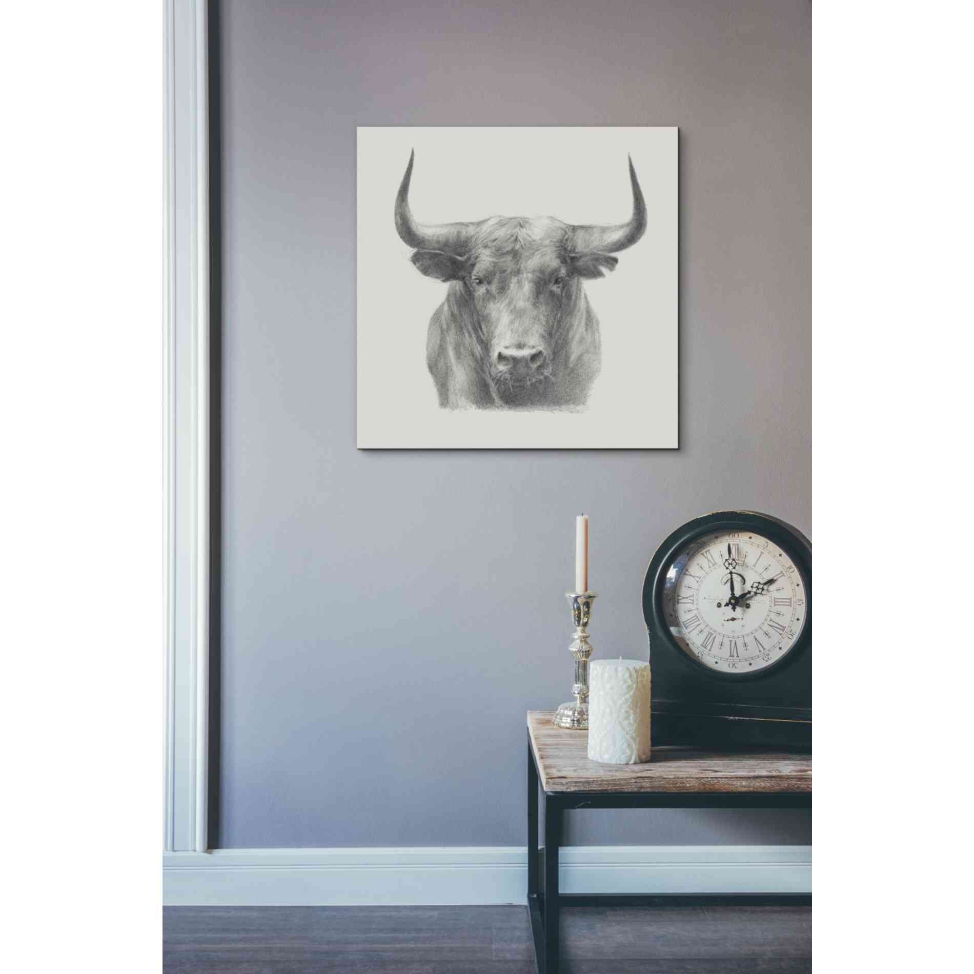 'Black Bull' by Ethan Harper, Canvas Wall Art,18 x 18