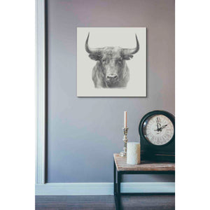 'Black Bull' by Ethan Harper, Canvas Wall Art,18 x 18