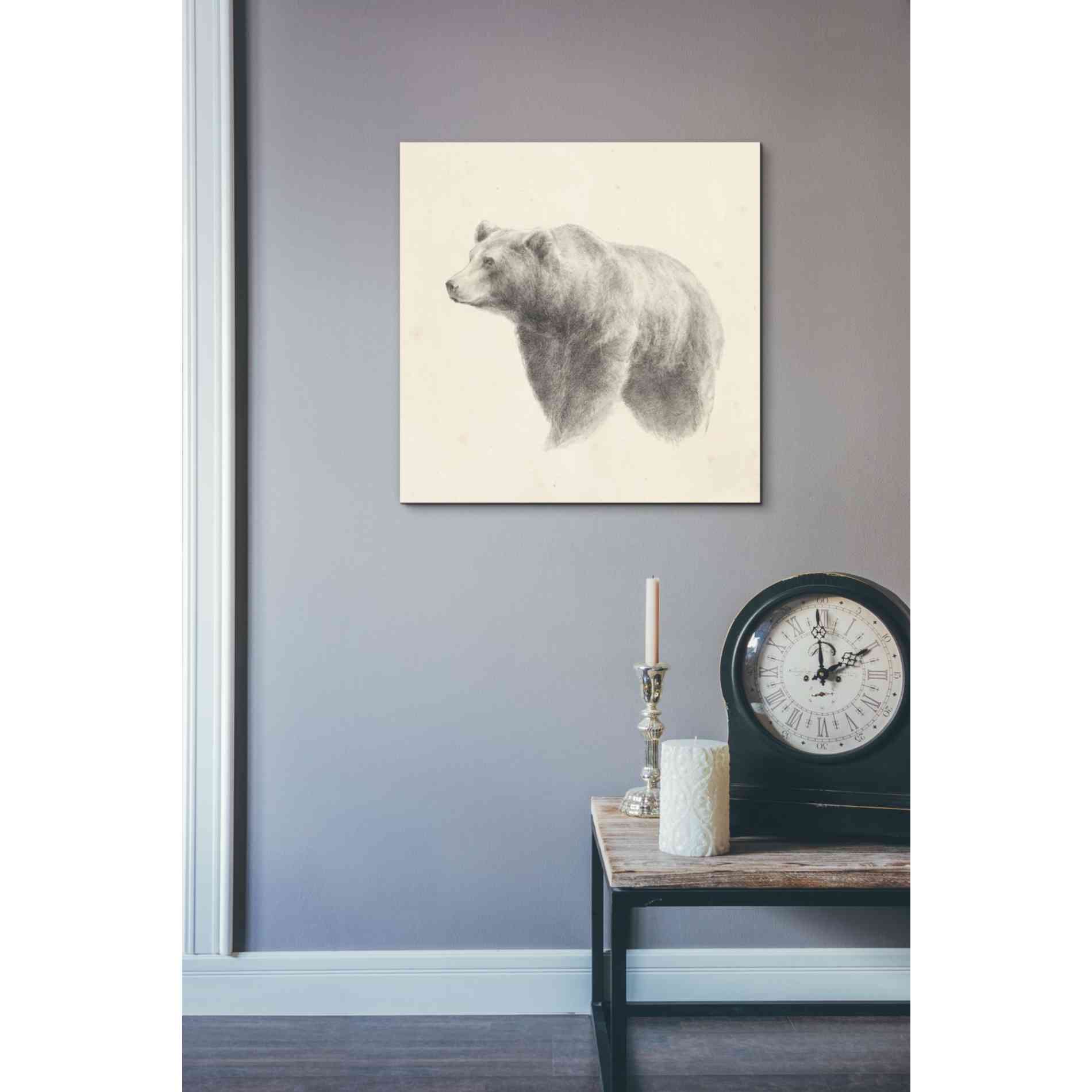 'Western Bear Study' by Ethan Harper, Canvas Wall Art,18 x 18