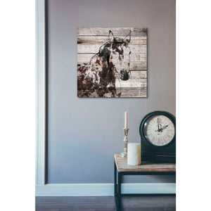 'Poly 2' by Irena Orlov, Canvas Wall Art,18 x 18