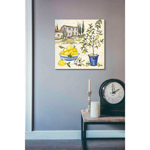 'Citron III' by Anne Tavoletti, Canvas Wall Art,18 x 18