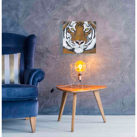 Image of 'Tiger Gaze' by Britt Hallowell, Canvas Wall Art,18 x 18