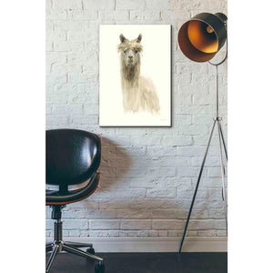 'Classic Llamas I' by Danhui Nai, Canvas Wall Art,18 x 26