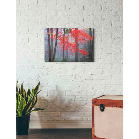 Image of 'Splash of Red' by Patrick Zephyr, Canvas Wall Art,26 x 18