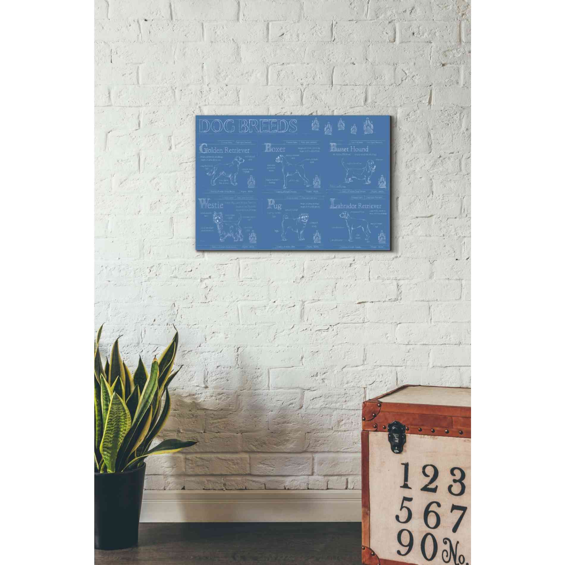 'Dog Breeds Infograph' by Ethan Harper Canvas Wall Art,26 x 18