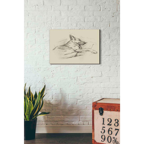 Image of 'Dog Days IV' by Ethan Harper Canvas Wall Art,26 x 18