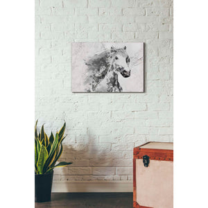 'White Stallion 1' by Irena Orlov, Canvas Wall Art,26 x 18