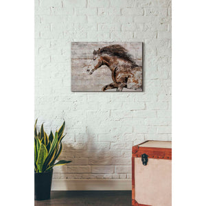 'WILD HORSE RUNNING 4' by Irena Orlov, Canvas Wall Art,26 x 18