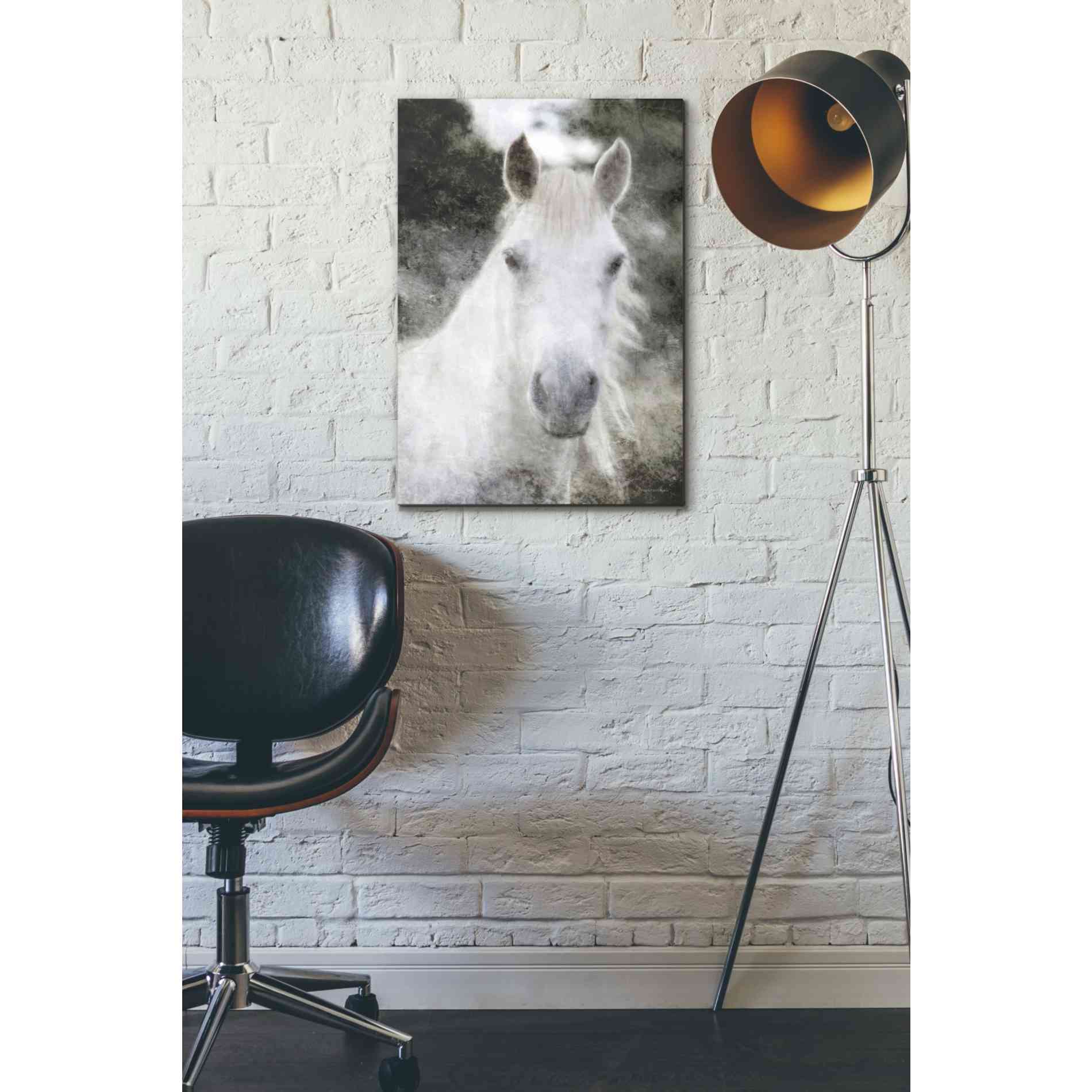 'White Horse Mystique' by Bluebird Barn, Canvas Wall Art,18 x 26