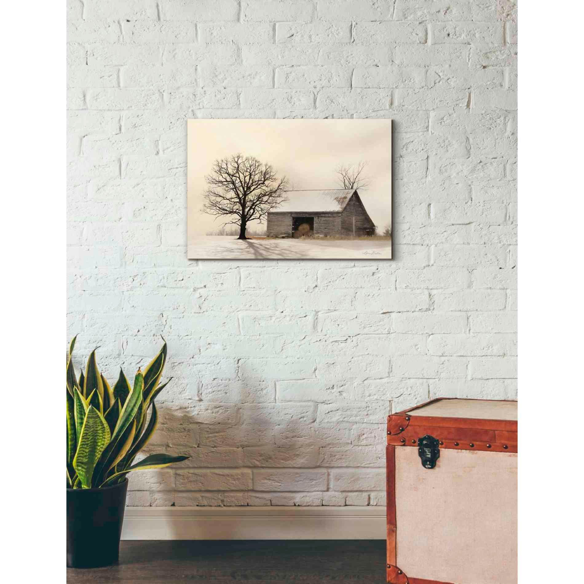 'Winter Shadows' by Lori Deiter, Canvas Wall Art,26 x 18