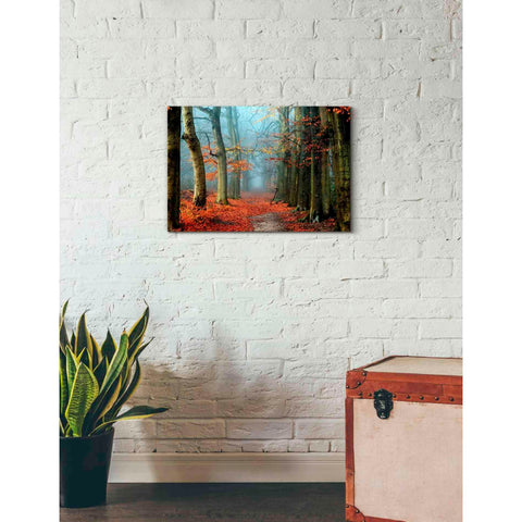 Image of 'Bussum in Fall' by Lars van de Goor, Giclee Canvas Wall Art