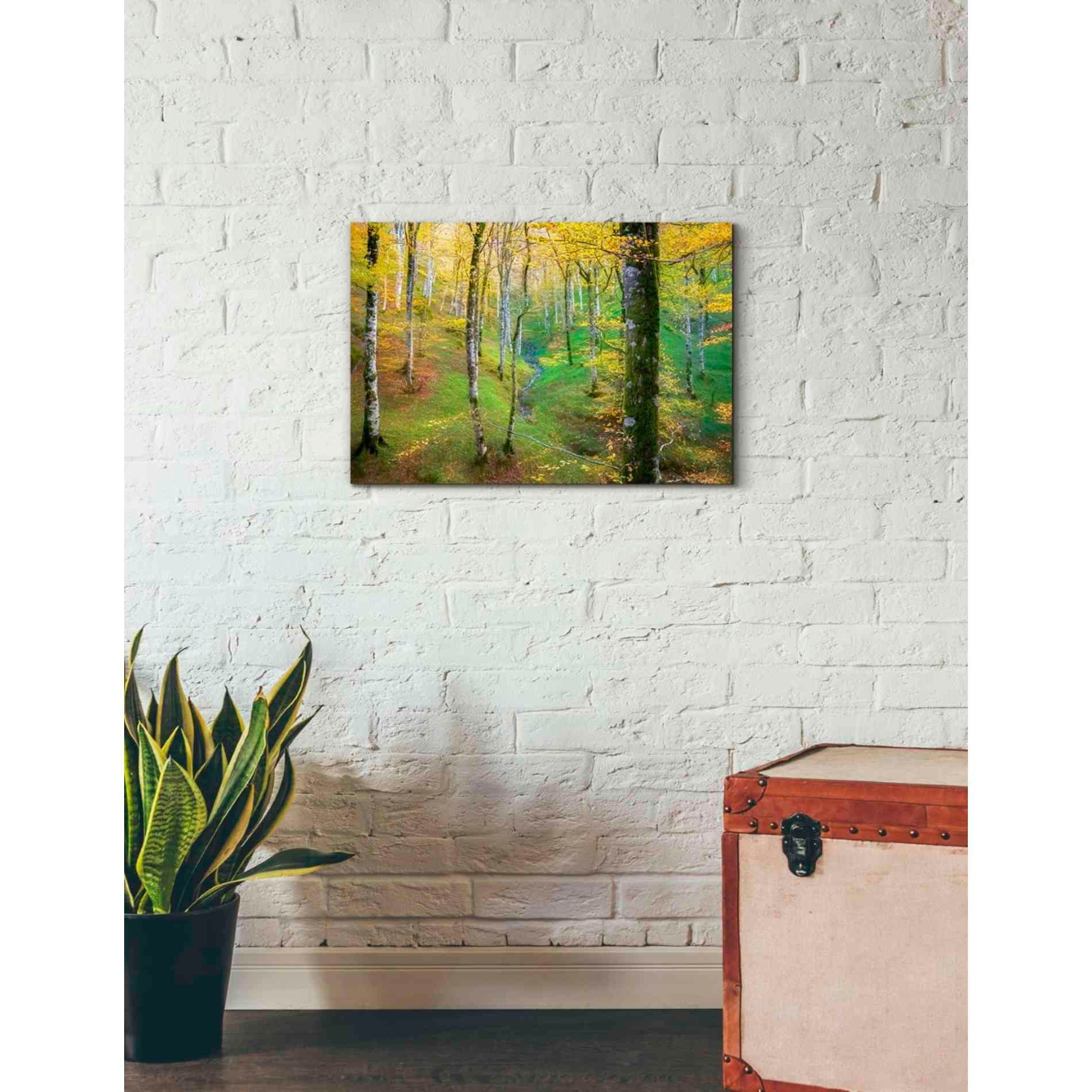 'Dream of Birches' by Lars van de Goor, Giclee Canvas Wall Art
