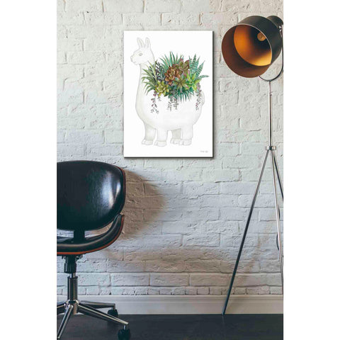 Image of 'Proud Llama Pot II' by Cindy Jacobs, Giclee Canvas Wall Art