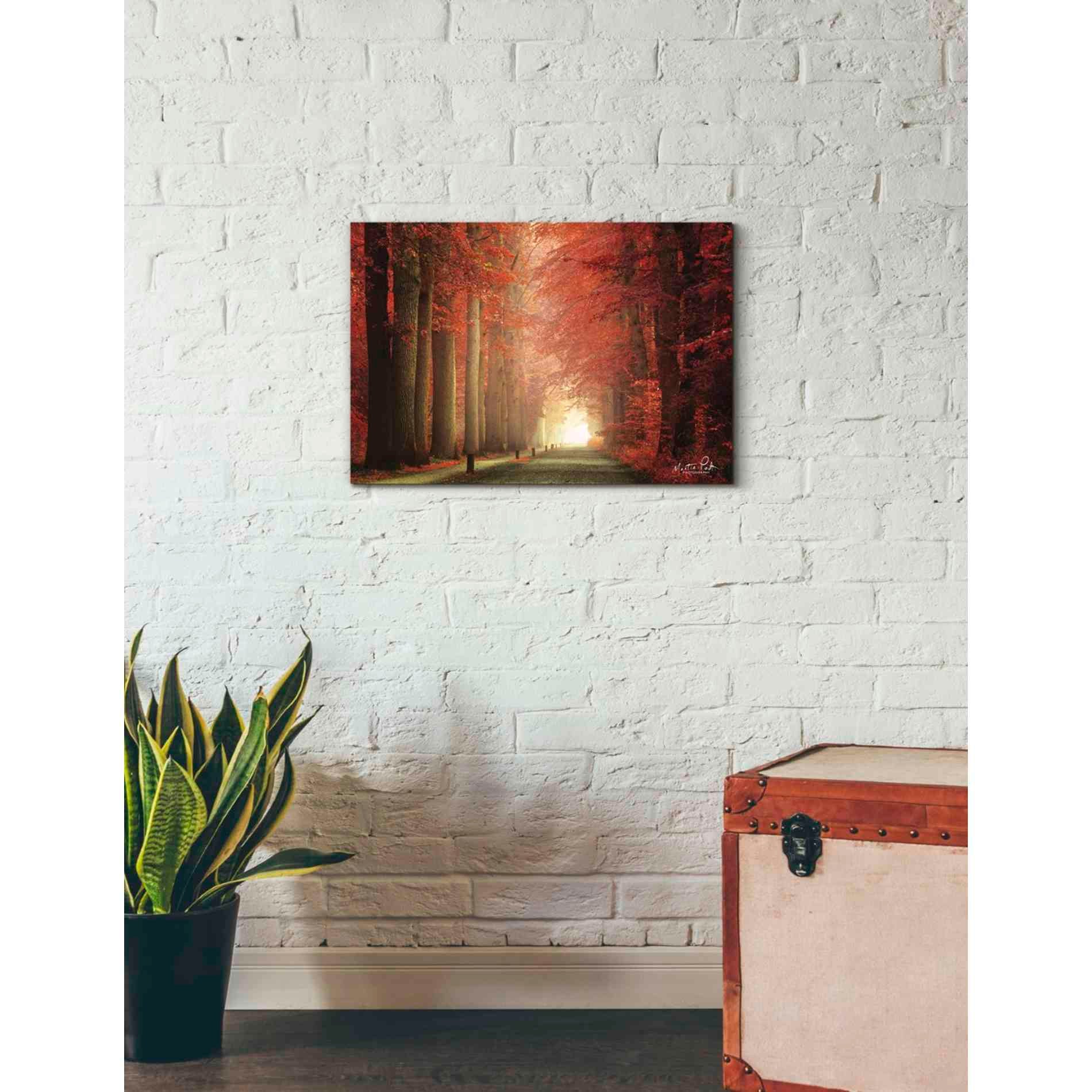 'Way to Red' by Martin Podt, Canvas Wall Art,26 x 18