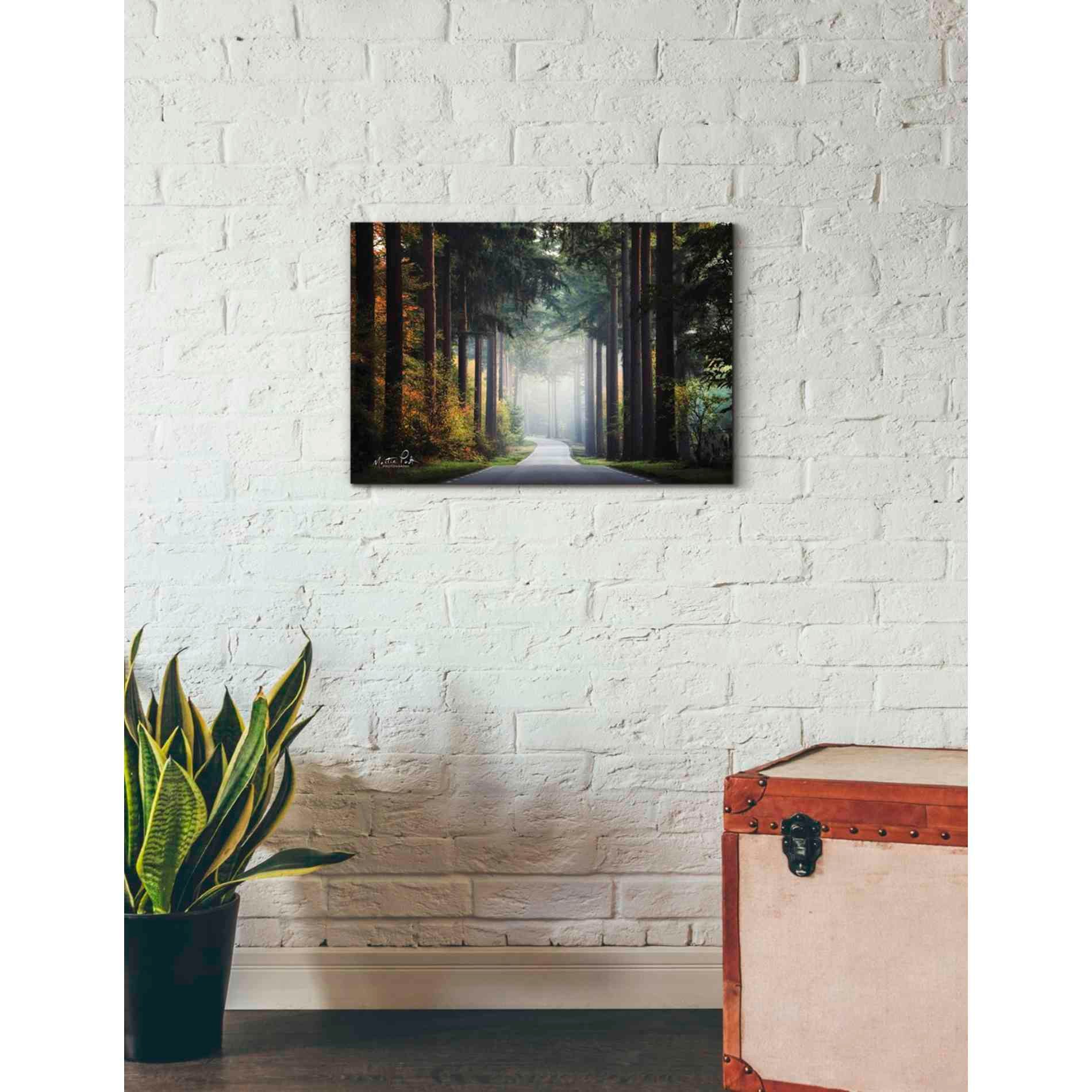 'Mysterious Roads' by Martin Podt, Canvas Wall Art,26 x 18