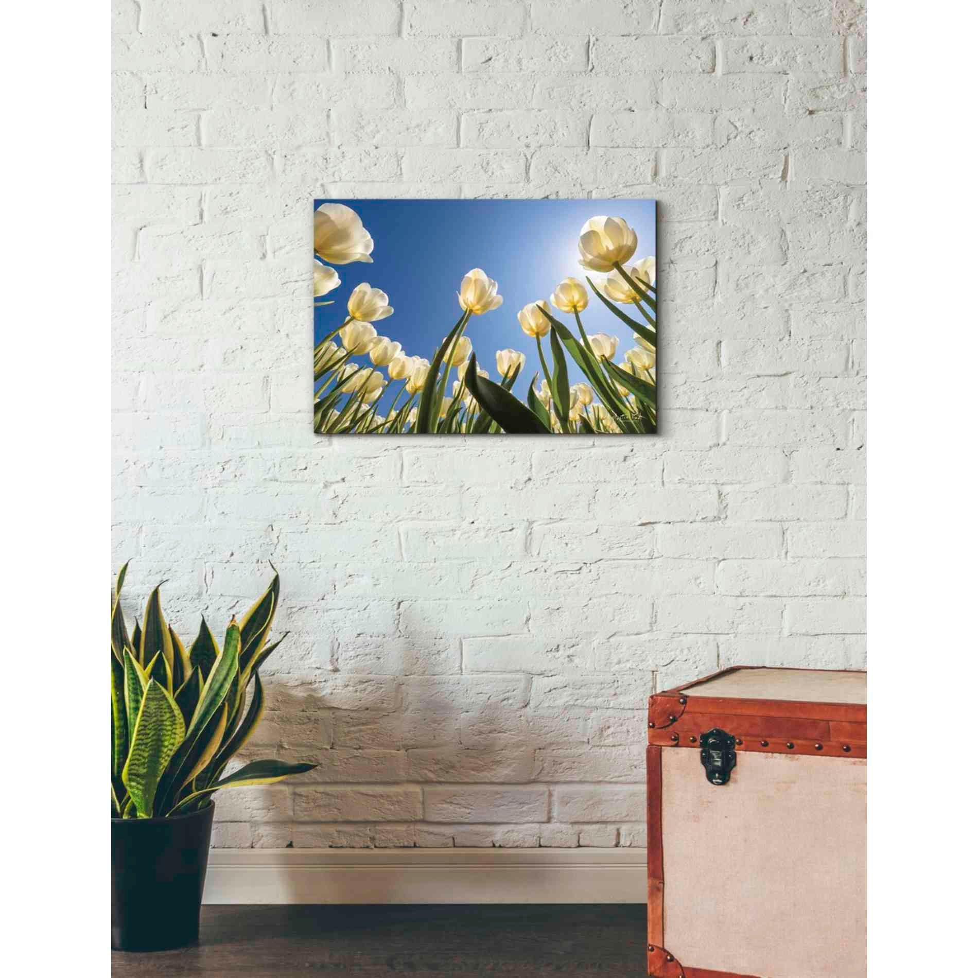 'Look Up in White' by Martin Podt, Canvas Wall Art,26 x 18