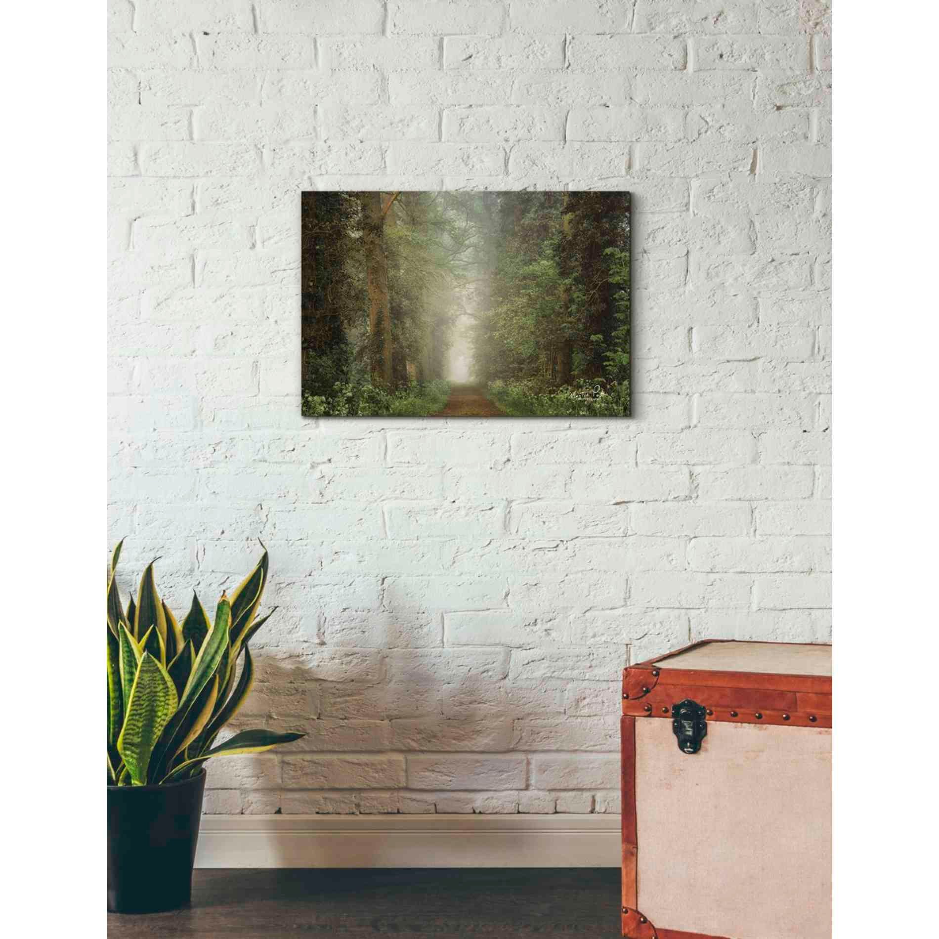 'Misty Spring Road' by Martin Podt, Canvas Wall Art,26 x 18