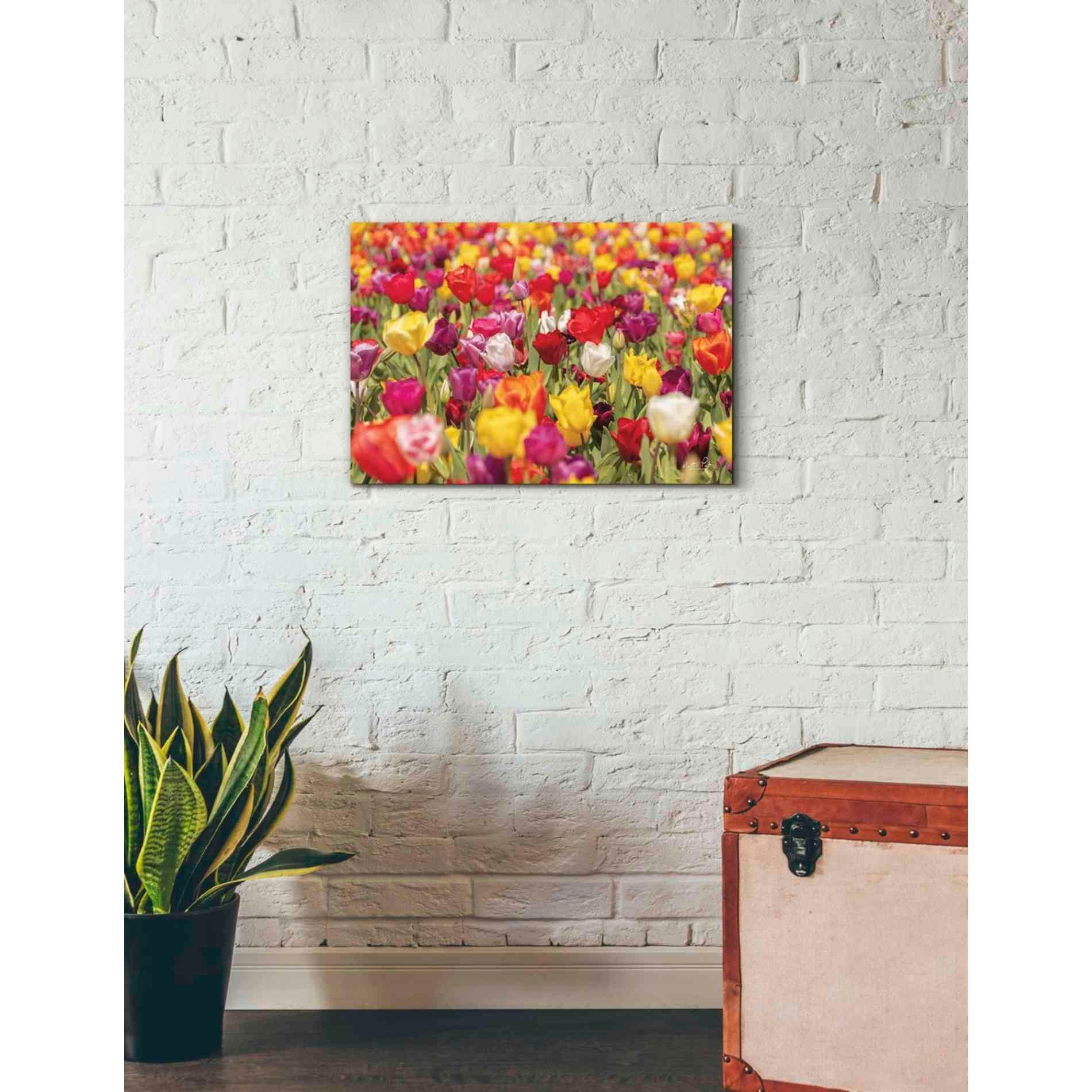 'Colorful Bouquet' by Martin Podt, Canvas Wall Art,26 x 18