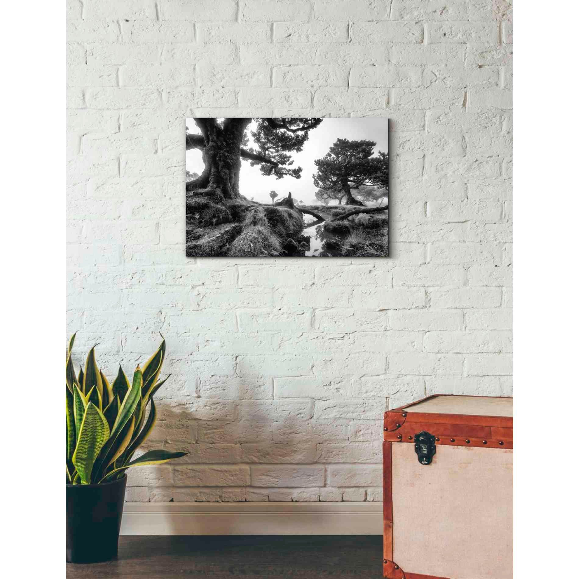 'Black & White Fanal' by Martin Podt, Canvas Wall Art,26 x 18