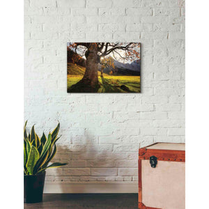 'The Star' by Martin Podt, Canvas Wall Art,26 x 18