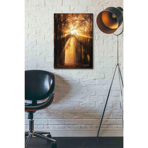 Image of 'Sunburst' by Martin Podt, Canvas Wall Art,18 x 26
